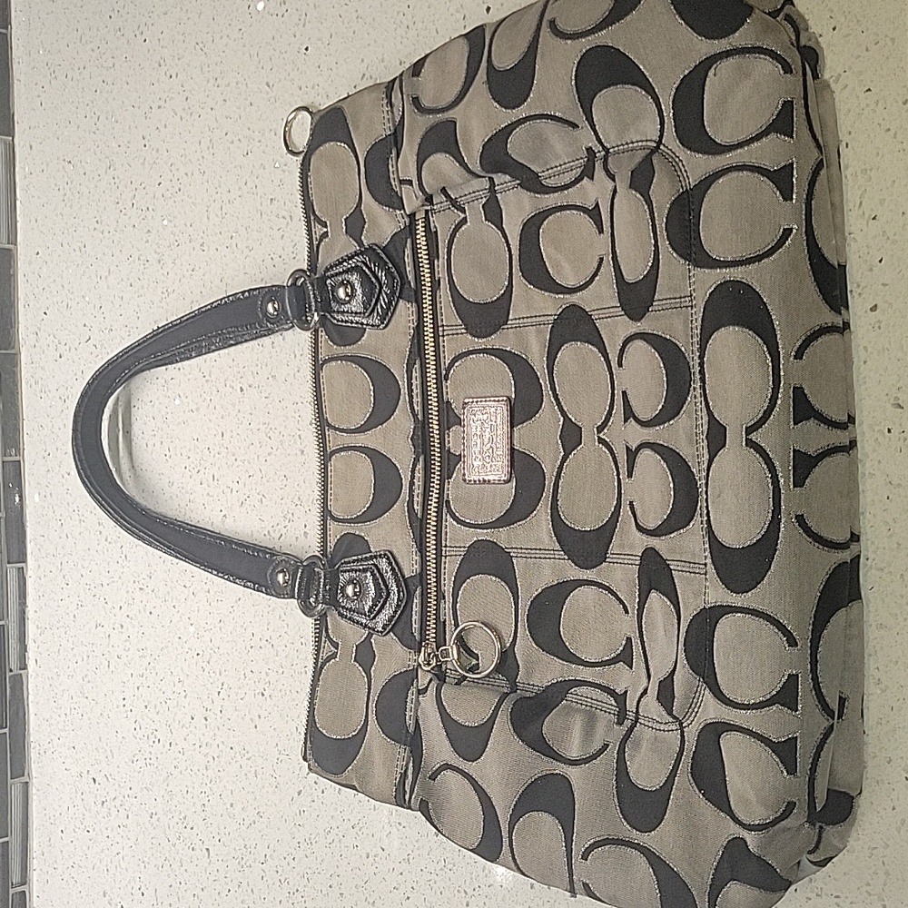Coach Poppy Metallic Tote